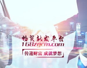 電子商務技術 現代商業的數字化引擎